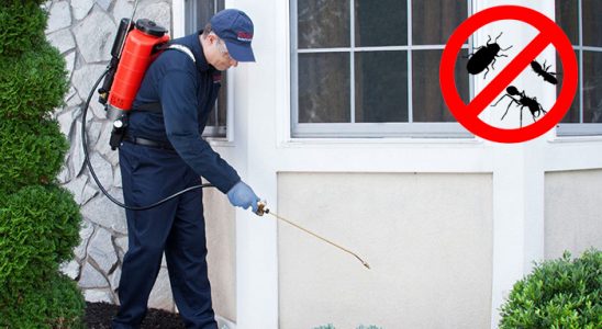 Süleymanpaşa Tahtakurusu İlaçlama böcek ilaçlama ve haşere kontrolü — ilaclama-tr.com